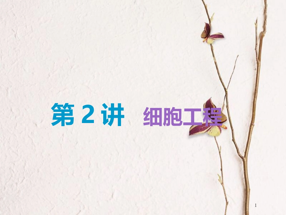 （全国通用版）2019版高考生物一轮复习 选考部分 现代生物科技专题 第2讲 细胞工程精准备考实用课件_第1页