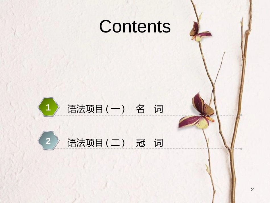 2019版高考英语一轮复习 语法专项 专题一 名词和冠词课件 北师大版_第2页