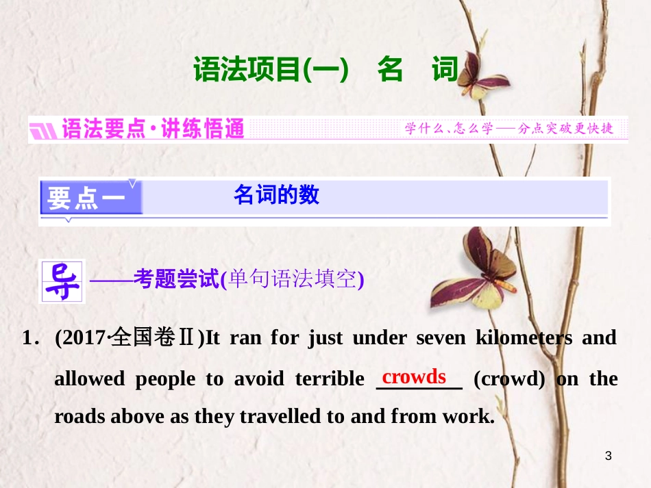 2019版高考英语一轮复习 语法专项 专题一 名词和冠词课件 北师大版_第3页