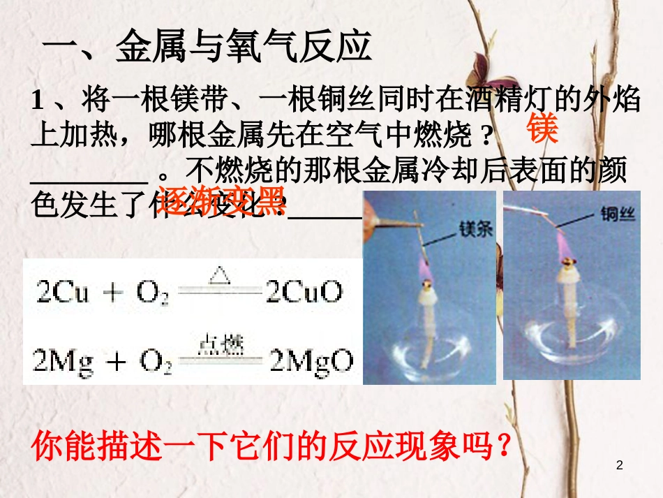 九年级科学上册 2.2 金属的化学性质 2.2.1 金属的化学性质课件 （新版）浙教版_第2页