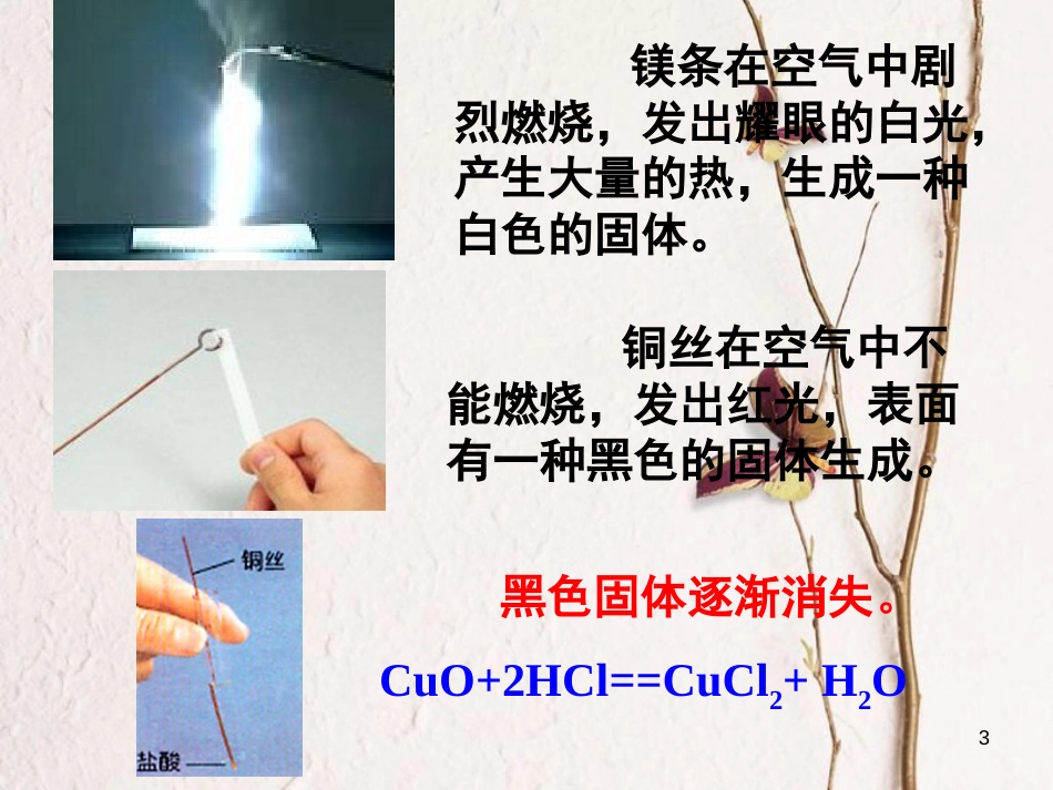 九年级科学上册 2.2 金属的化学性质 2.2.1 金属的化学性质课件 （新版）浙教版_第3页