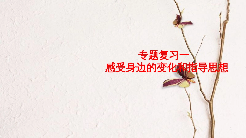 2017年中考政治 专题复习考点一 感受身边的变化和指导思想课件(1)_第1页