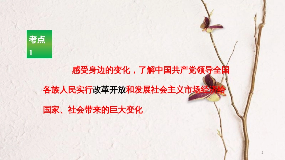 2017年中考政治 专题复习考点一 感受身边的变化和指导思想课件(1)_第2页