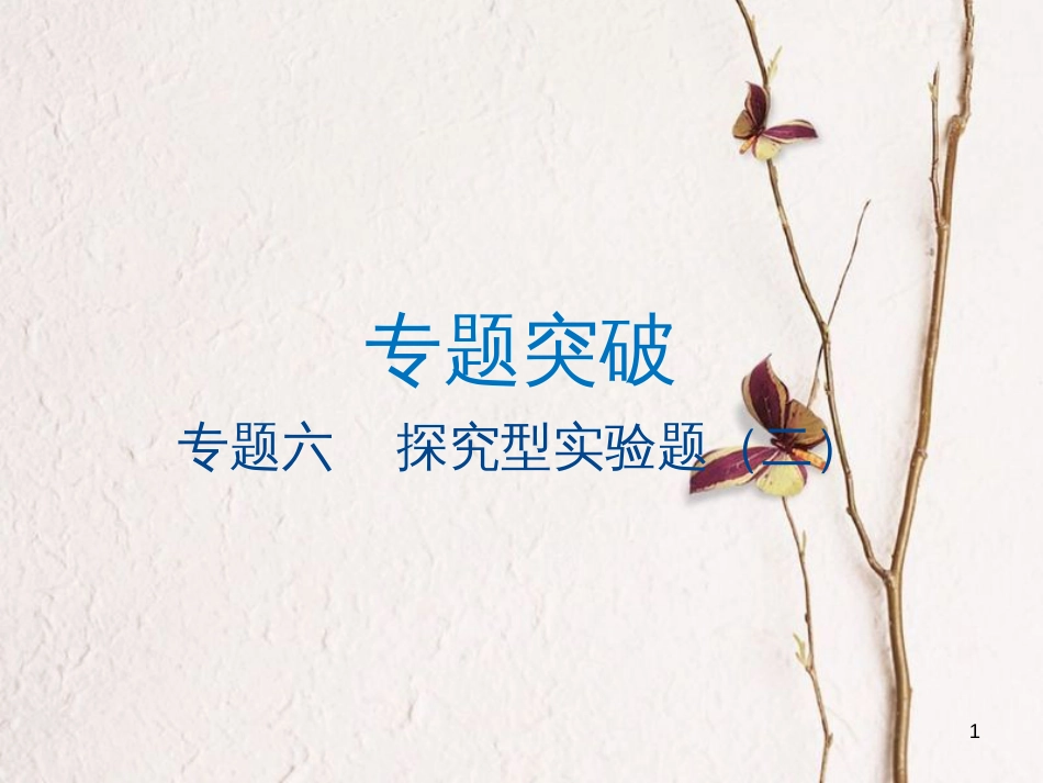 江苏省大丰市中考物理专题六探究型实验题（二）复习课件_第1页