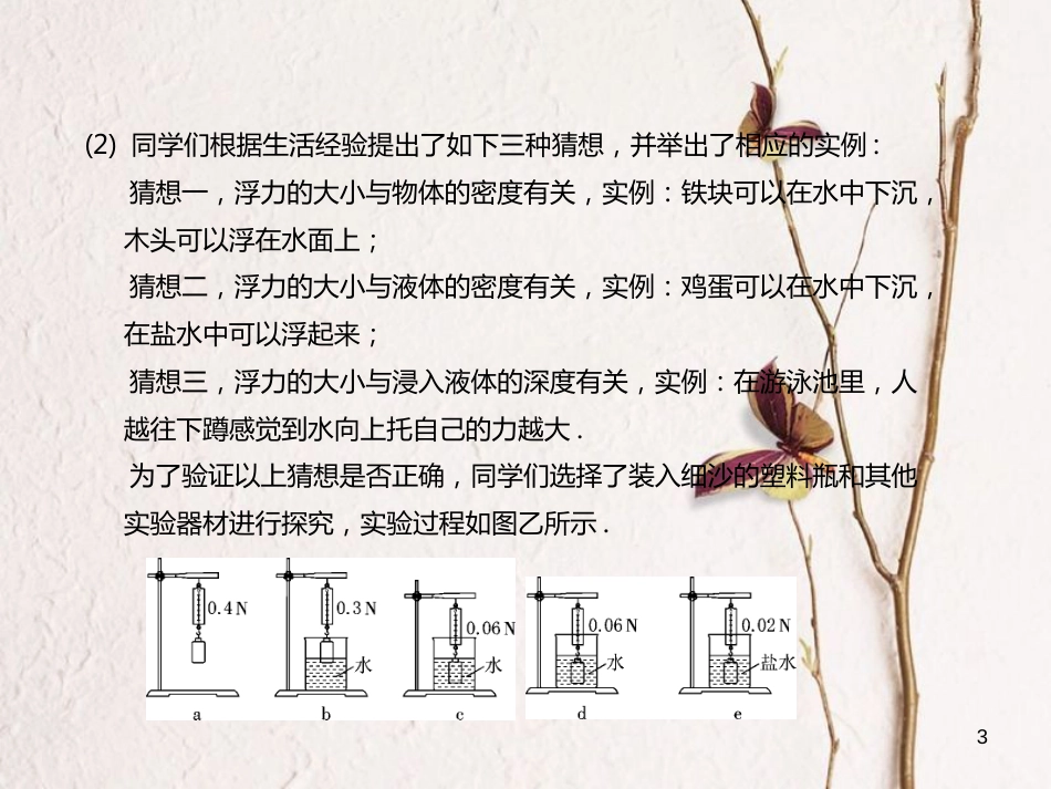 江苏省大丰市中考物理专题六探究型实验题（二）复习课件_第3页