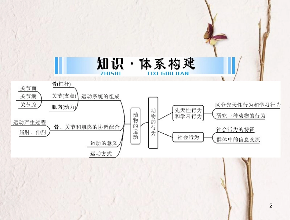 中考生物 考点梳理 第一轮 第五章 动物的运动和行为课件_第2页