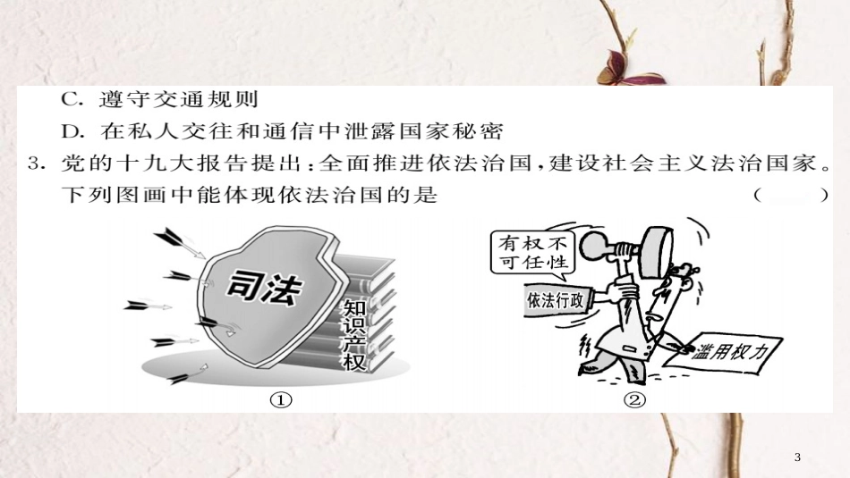 八年级道德与法治下册 期末综合测试卷课件 新人教版_第3页