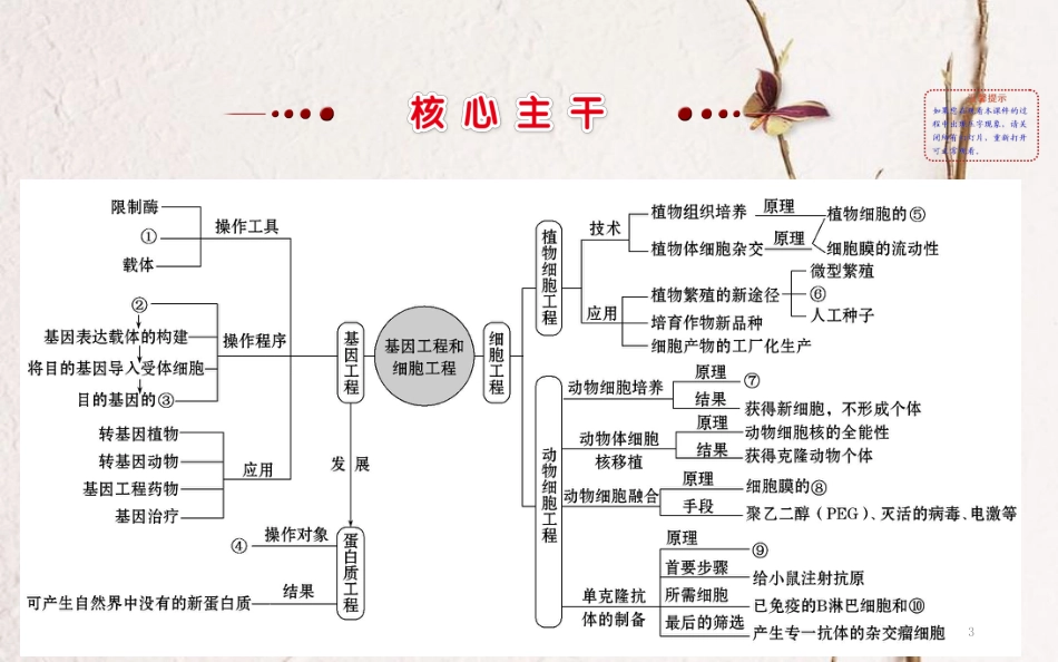 高三生物二轮复习 2.15.1 基因工程（含PCR技术）和细胞工程课件_第3页