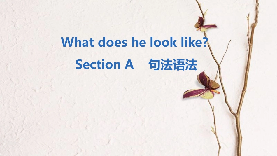 七年级英语下册 Unit 9 What does he look like Section A句法语法课件 （新版）人教新目标版_第1页