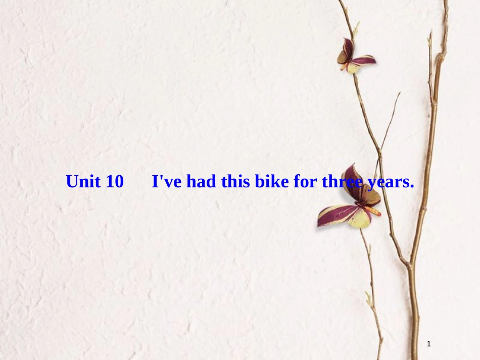 八年级英语下册 Unit 10 I've had this bike for three years作业课件 （新版）人教新目标版_第1页