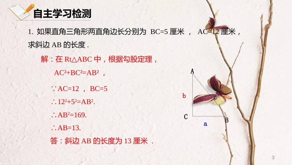 八年级数学上册 第十二章 三角形 12.11 勾股定理课件 北京课改版_第3页