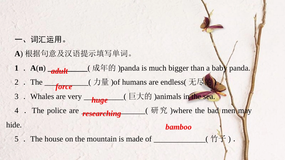 八年级英语下册 Unit 7 What's the highest mountain in the world Self Check习题课件 （新版）人教新目标版_第3页