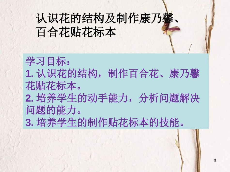 辽宁省辽阳市七年级生物上册 5.5植物的开花和结果课件 （新版）苏教版_第3页