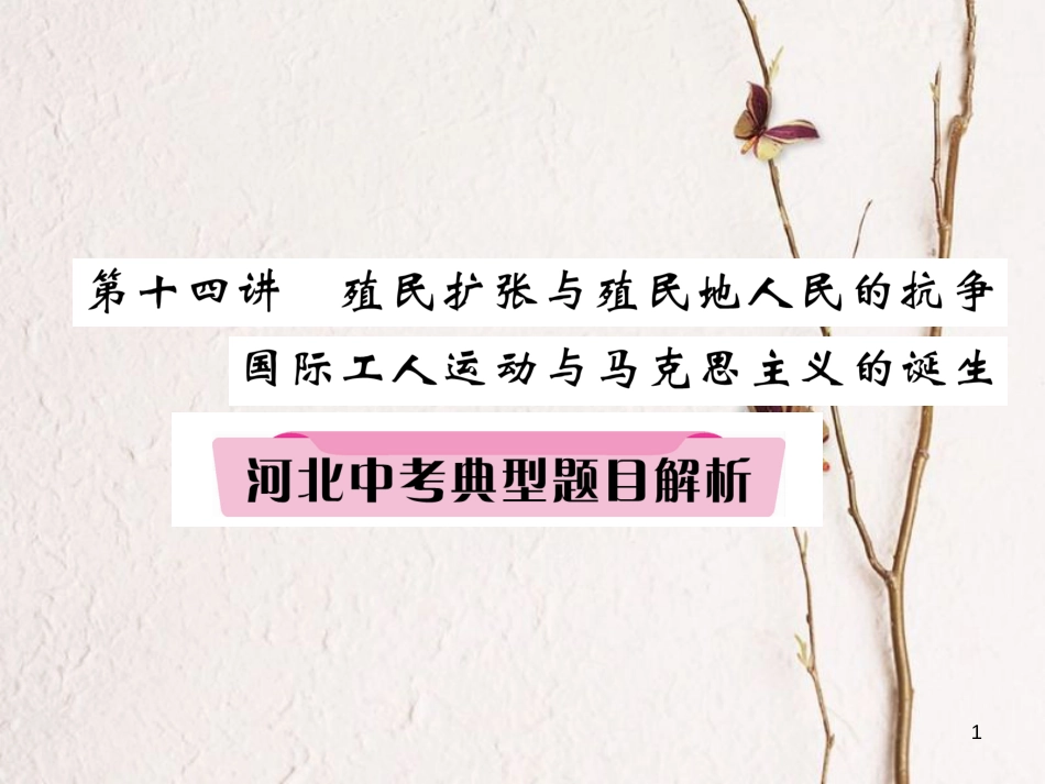 （河北专版）中考历史总复习 第14讲 殖民扩张与殖民地人民的抗争 国际工人运动与马克思主义的诞生典型题目解析课件_第1页