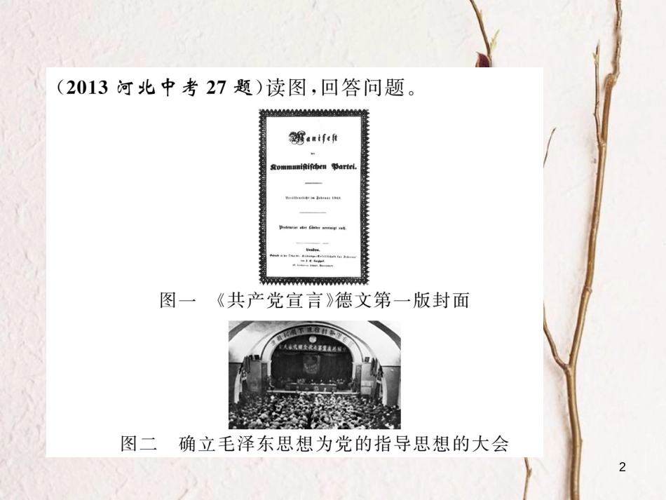 （河北专版）中考历史总复习 第14讲 殖民扩张与殖民地人民的抗争 国际工人运动与马克思主义的诞生典型题目解析课件_第2页
