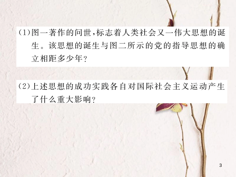 （河北专版）中考历史总复习 第14讲 殖民扩张与殖民地人民的抗争 国际工人运动与马克思主义的诞生典型题目解析课件_第3页