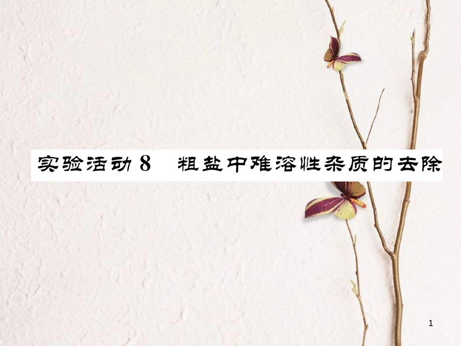 九年级化学下册 第11单元 盐 化肥 实验活动8 粗盐中难溶解性杂质的去除作业课件 （新版）新人教版_第1页
