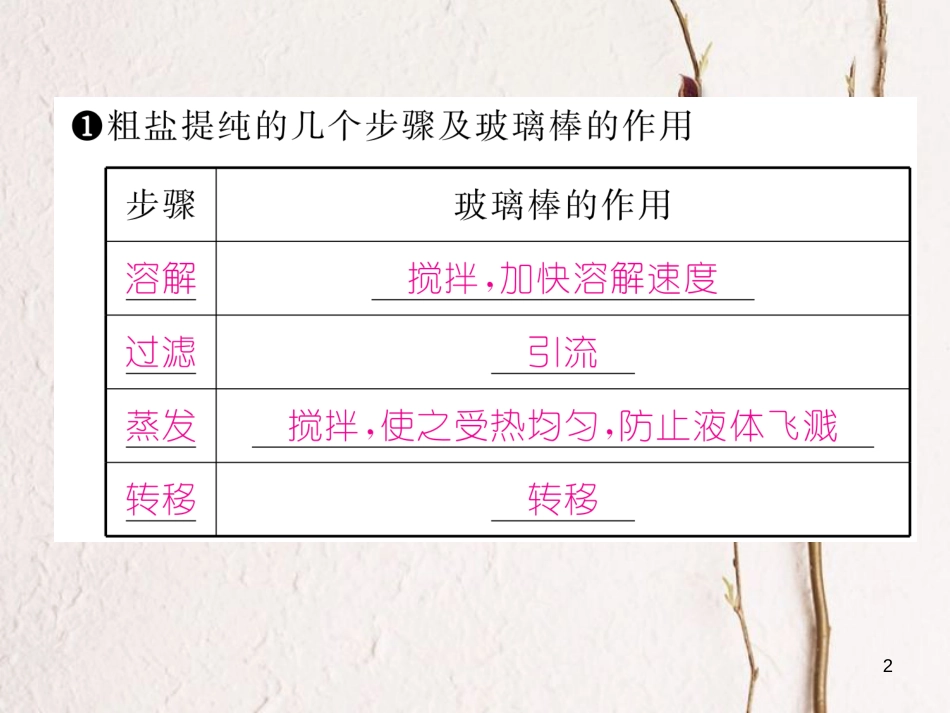 九年级化学下册 第11单元 盐 化肥 实验活动8 粗盐中难溶解性杂质的去除作业课件 （新版）新人教版_第2页