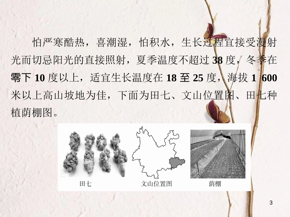 （全国通用）高考地理二轮复习 第三篇 备考与冲刺 专题二 综合题题型突破 题型突破四 区位条件类习题课件_第3页