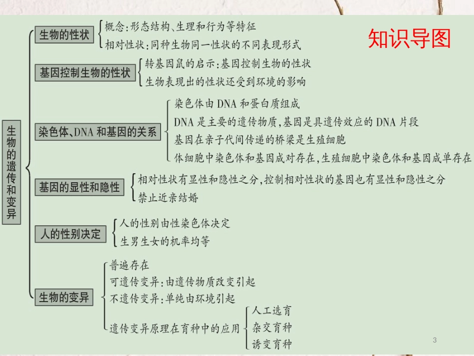 广东省中考生物 第七单元 生物圈中生命的延续和发展 第二章 生物的遗传和变异课件_第3页