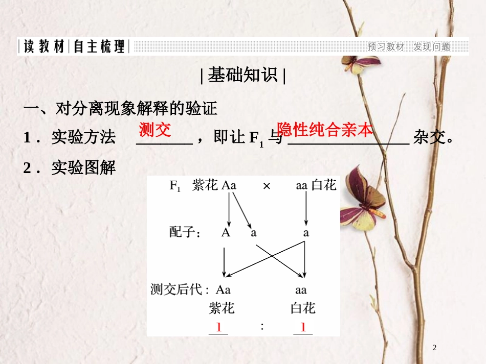 高中生物 第三章 遗传和染色体 第5课时 基因的分离定律（Ⅱ）课件 苏教版必修2_第2页