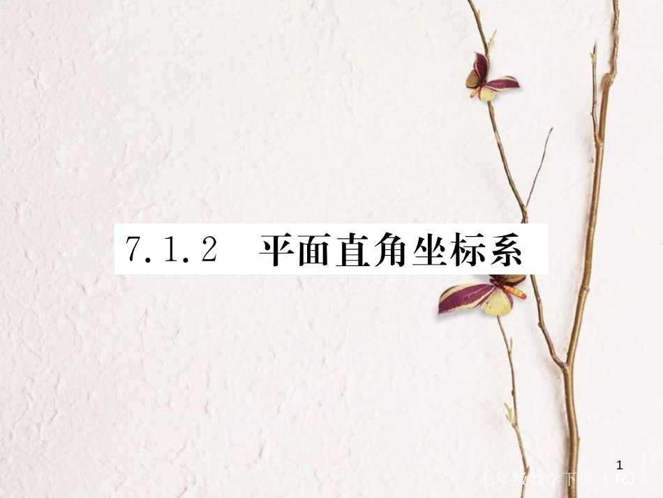 七年级数学下册 第7章 平面直角坐标系 7.1 平面直角坐标系 7.1.2 平面直角坐标系练习课件 （新版）新人教版_第1页