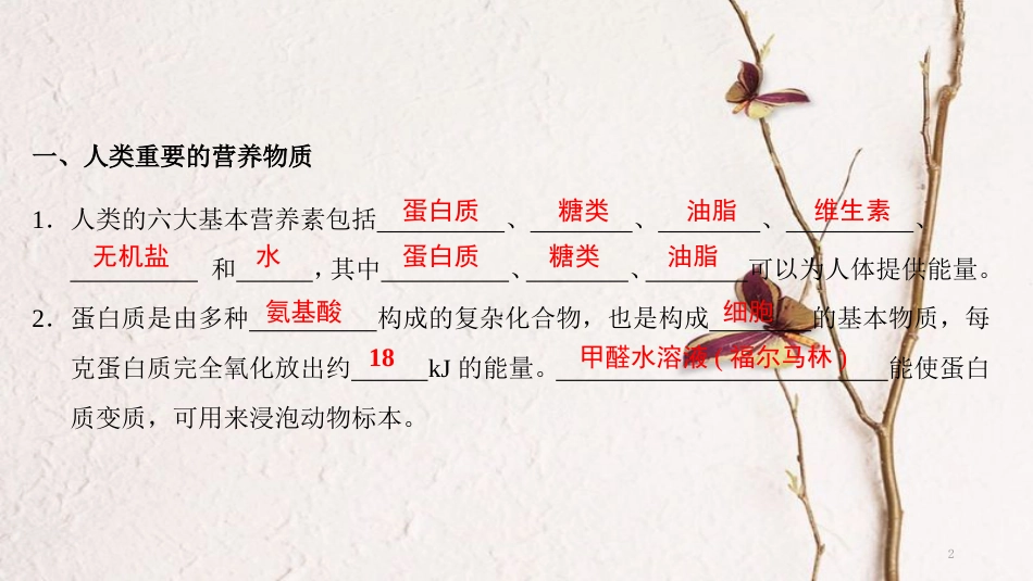 年九年级化学下册 第12单元 化学与生活复习课课件 （新版）新人教版_第2页