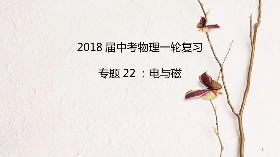 中考物理一轮复习 专题突破22 电与磁课件 新人教版_第1页