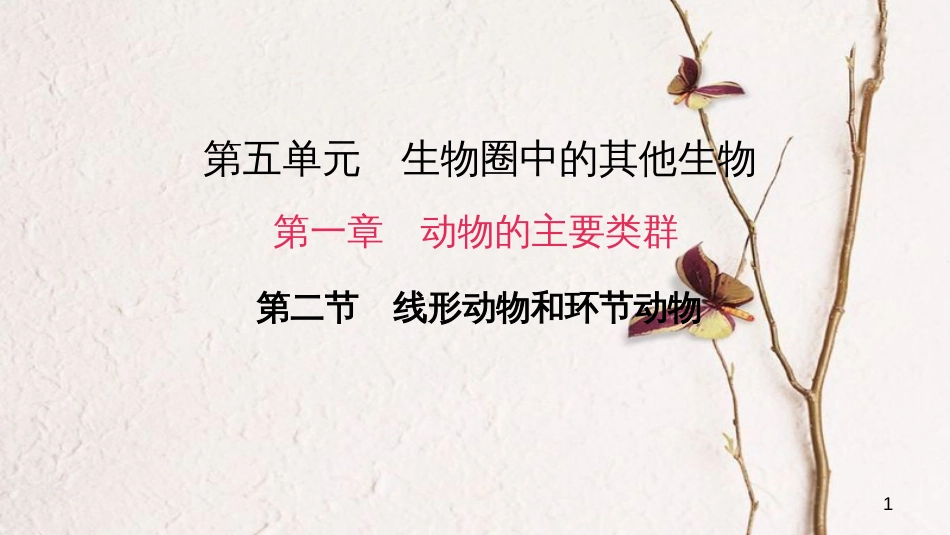 八年级生物上册 第五单元 第一章 第二节 线形动物和环节动物课件 （新版）新人教版_第1页