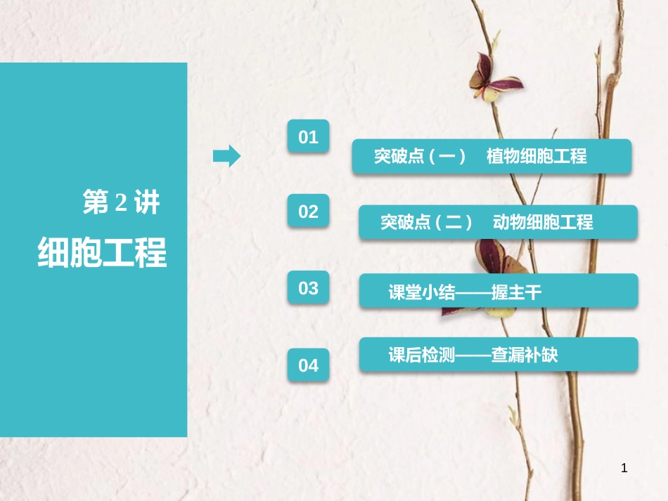 （全国通用版）2019版高考生物一轮复习 选考部分 现代生物科技专题 第2讲 细胞工程课件_第1页