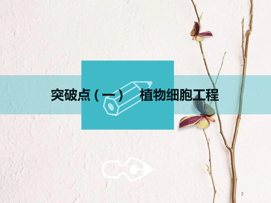 （全国通用版）2019版高考生物一轮复习 选考部分 现代生物科技专题 第2讲 细胞工程课件_第2页