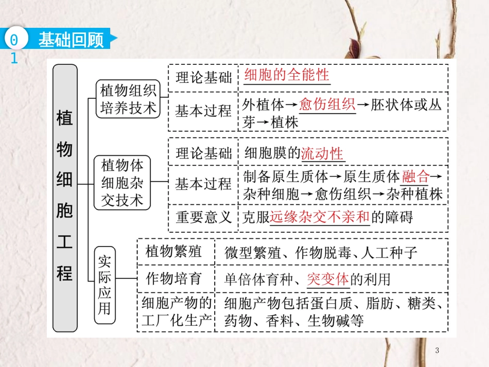 （全国通用版）2019版高考生物一轮复习 选考部分 现代生物科技专题 第2讲 细胞工程课件_第3页