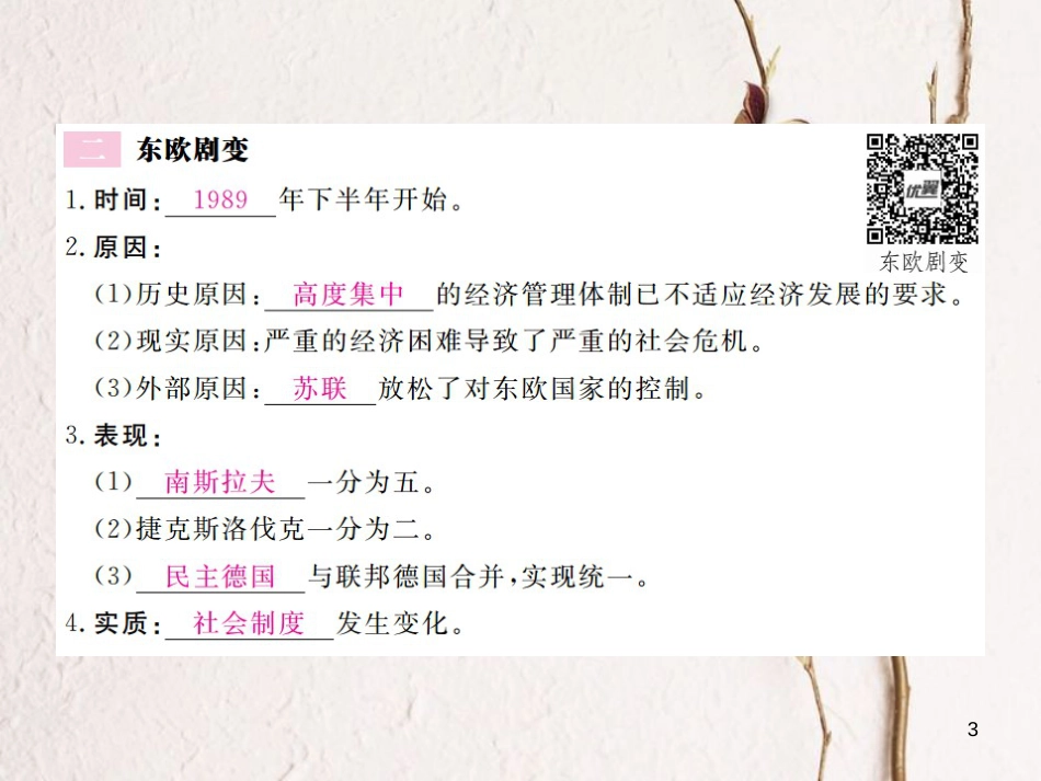 （通用版）九年级历史下册 第五单元 社会主义国家的改革与演变 第11课 东欧社会主义国家的改革与演变习题课件 新人教版_第3页