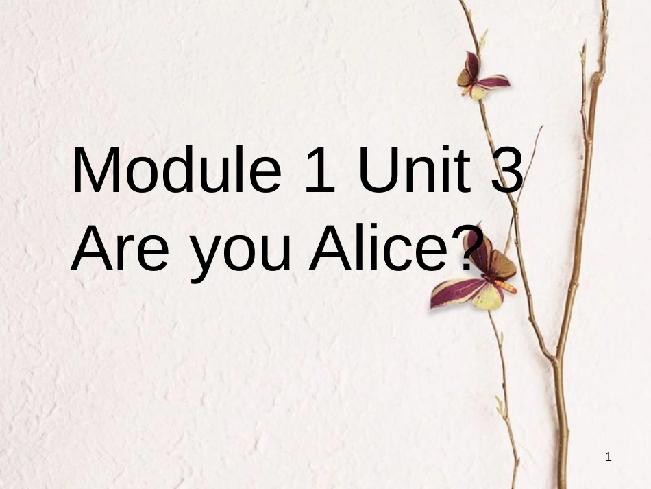 二年级英语上册 Unit 3 Are you Alice课件2 牛津上海版_第1页