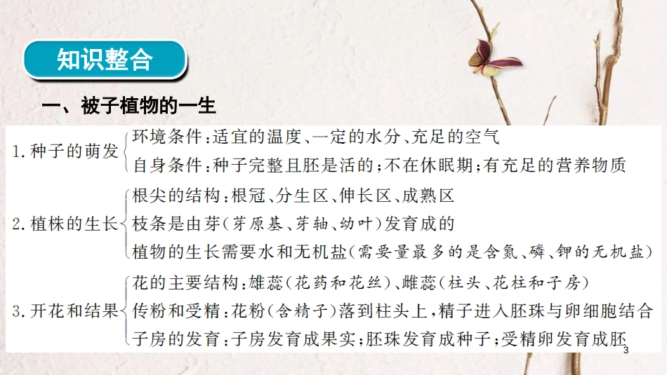 河南省2018年中考生物总复习 第2部分 模块1 专题3 生物圈中的绿色植物课件_第3页