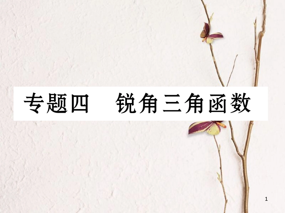 九年级数学下册 专题4 锐角三角函数作业课件 （新版）湘教版_第1页