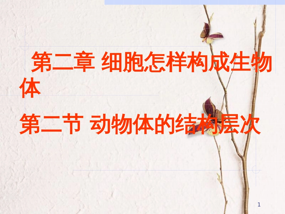 湖南省桑植县七年级生物上册 第二单元 第二章 第二节 动物体的结构层次课件 （新版）新人教版_第1页