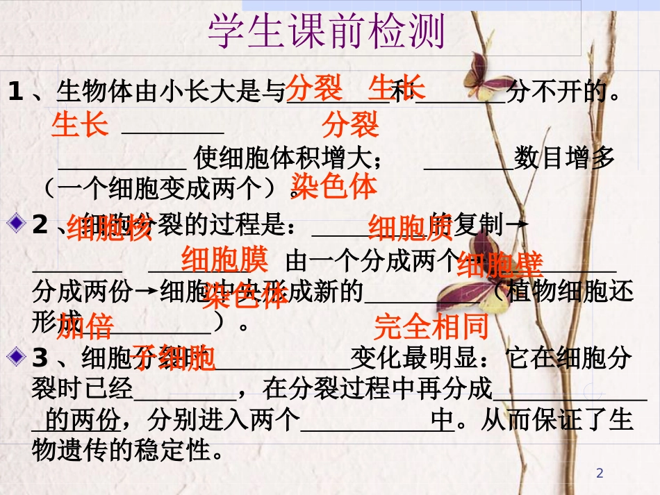 湖南省桑植县七年级生物上册 第二单元 第二章 第二节 动物体的结构层次课件 （新版）新人教版_第2页