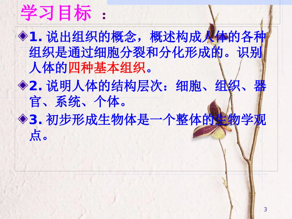 湖南省桑植县七年级生物上册 第二单元 第二章 第二节 动物体的结构层次课件 （新版）新人教版_第3页