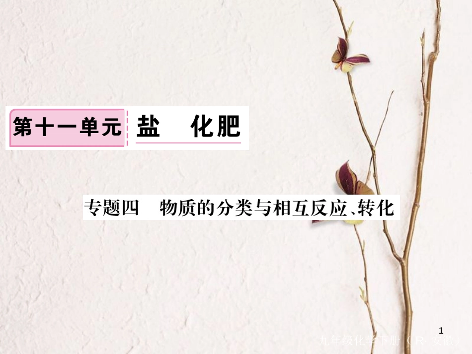 （安徽专版）九年级化学下册 专题四 物质的分类与相互反应、转化练习课件 （新版）新人教版_第1页
