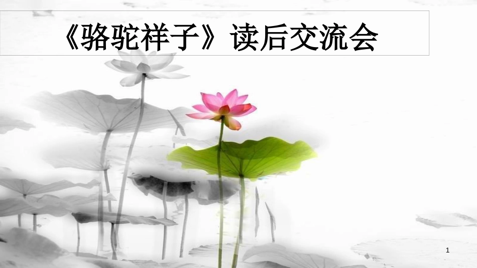 内蒙古鄂尔多斯市康巴什新区七年级语文下册 第三单元 名著导读 骆驼祥子课件 新人教版_第1页