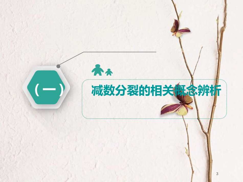 （全国通用版）2019版高考生物一轮复习 第1部分 分子与细胞 第四单元 细胞的生命历程 第3讲 减数分裂和受精作用课件_第3页