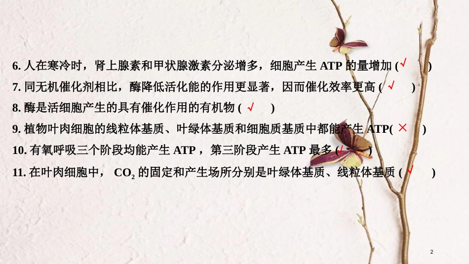 2019版高考生物一轮复习 第二单元 细胞的自我保障 阶段排查 回扣落实（二）创新备考课件 中图版_第2页