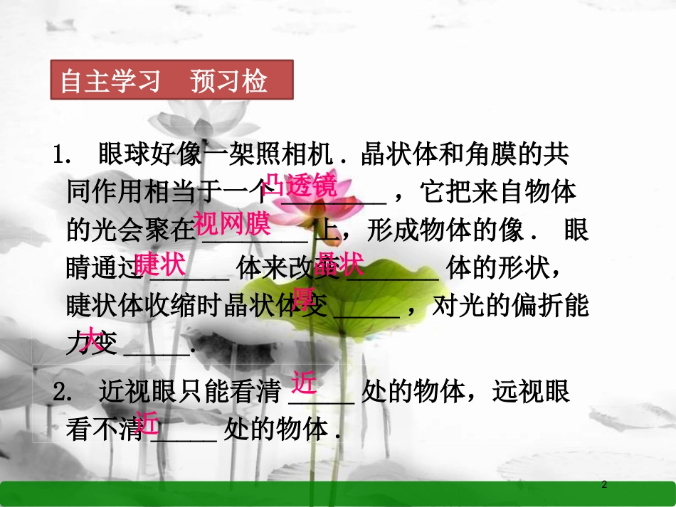 年八年级物理上册 第五章 第4节 眼睛与眼镜课件 （新版）新人教版_第2页