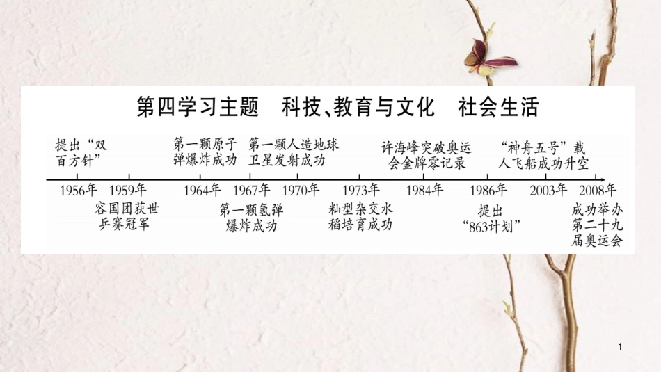 中考历史总复习 第一篇 教材系统复习 中国现代史 第4学习主题 科技、教育与文化 社会生活课件_第1页