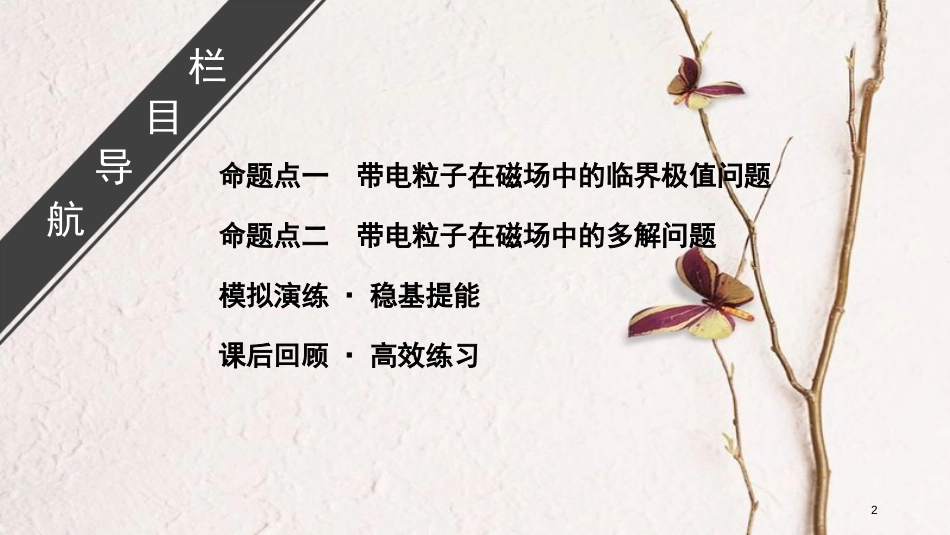 2019年高考物理大一轮复习 微专题10 带电粒子在磁场中的临界极值和多解问题课件 新人教版_第2页