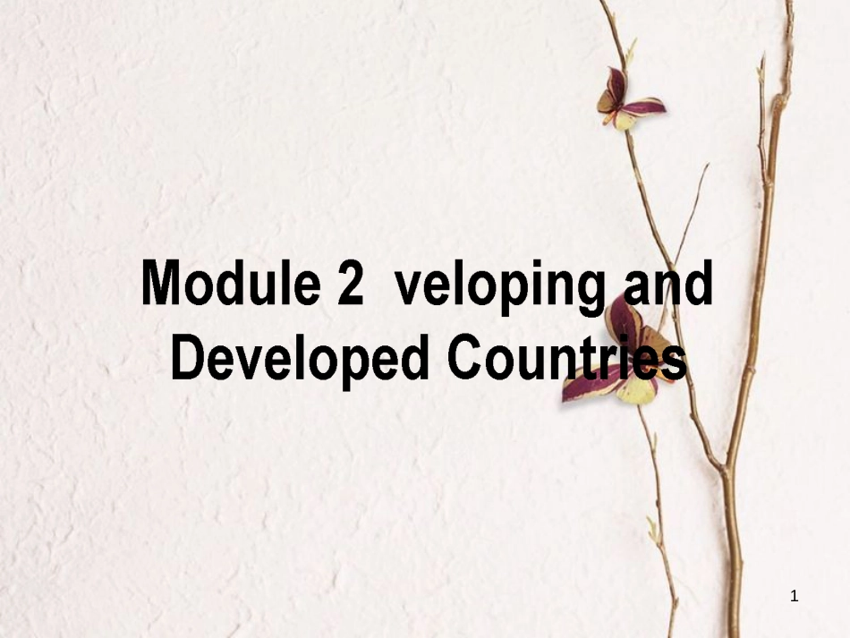 高考英语二轮复习 Module 2 Developing and Developed Countries课件 外研版必修3_第1页