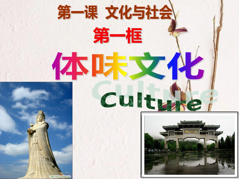 江西省南城县高中政治 第一课 文化与社会 文化的内涵、特点课件 新人教版必修3_第3页