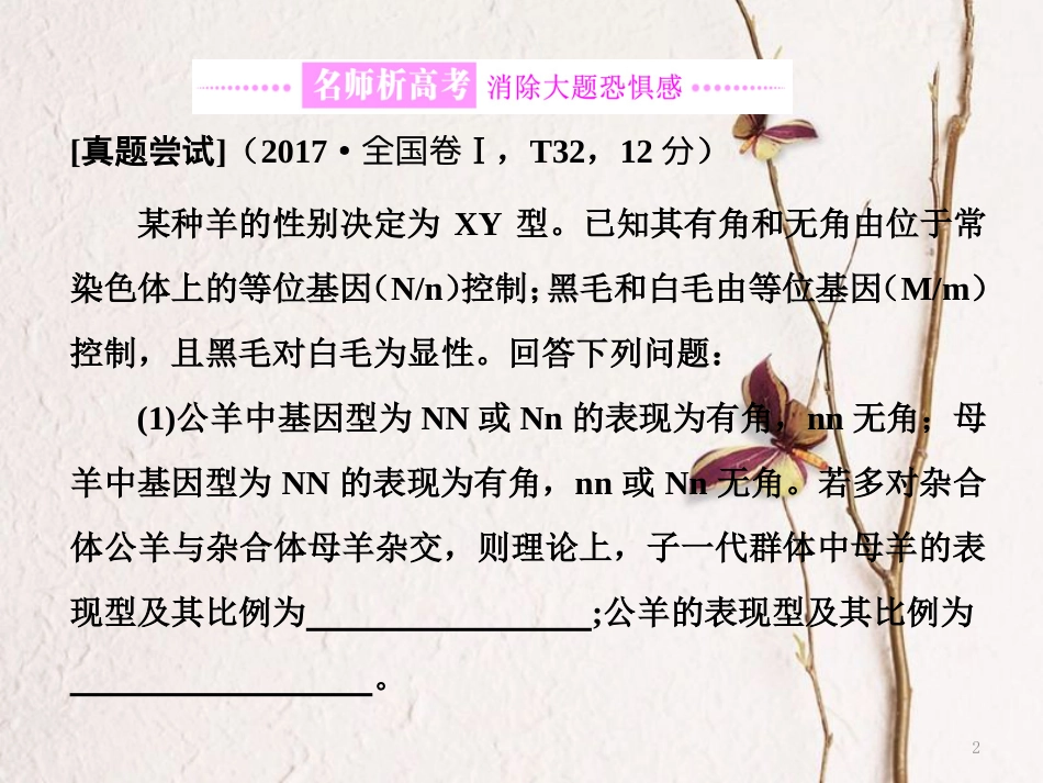 （全国通用）高考生物二轮复习 专题三 遗传 串讲二 遗传规律、伴性遗传 第3课时 大题增分课件_第2页
