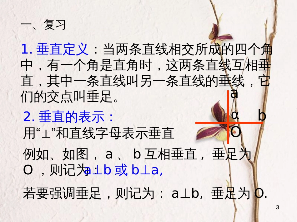 山东省诸城市桃林镇七年级数学下册 第5章 相交线与平行线 5.1 相交线 5.1.2 垂线（2）课件 （新版）新人教版_第3页